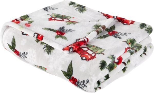 Member’s Mark Holiday Plush Throw, 60” x 70”, Assorted