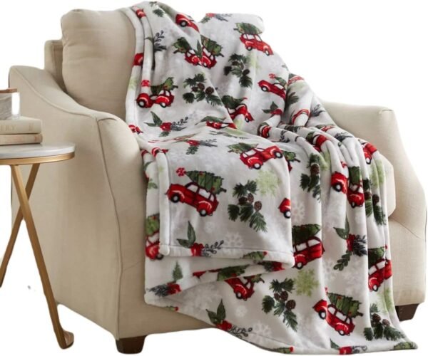 Member’s Mark Holiday Plush Throw, 60” x 70”, Assorted