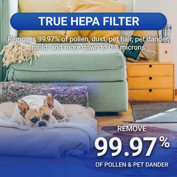 Advanced Pure Air Shield Air Purifier with UV-C (Replacement Filter Included)