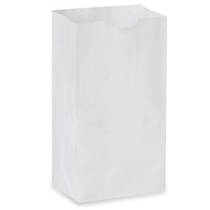 White Paper Bags 2 lb 500/CS