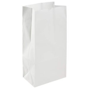 White Paper Bag 12 lb 500/CS