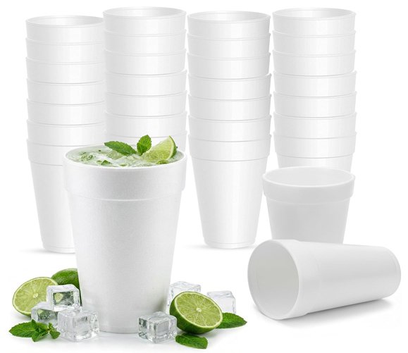 Convermex 20 oz Foam cup 20B16 500/CS