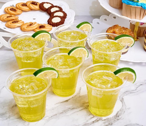 Translucent Plastic Cold Cup 10 oz - 1000/case