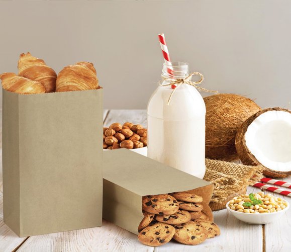 Brown Paper Bag 6LB 500/CS