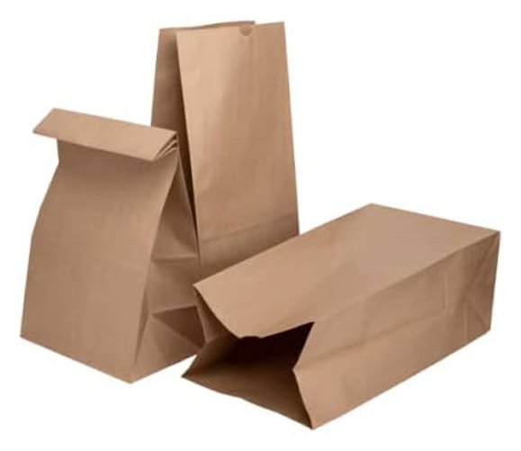 Brown Paper Bags - 20 LB Capacity - 500/Case
