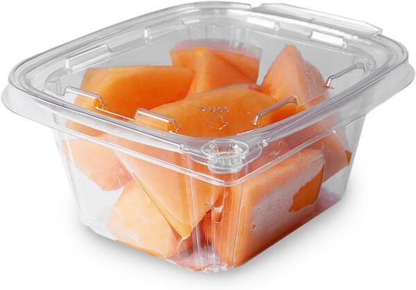 16 oz Clear Hinged Deli Container HC-16 - 200 Case