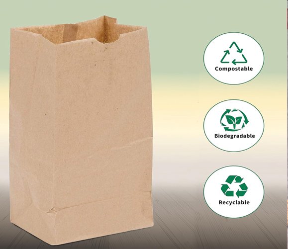 Brown Paper Bag 1LB 500/CS
