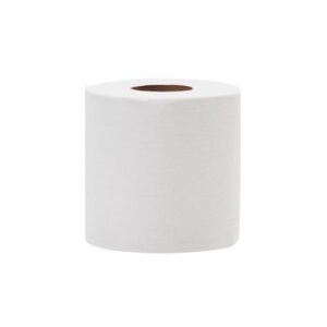Bath Tissue Roll 2Ply 500 PC