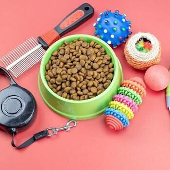 dry-food-with-pets-accessories-on-red-background-photo
